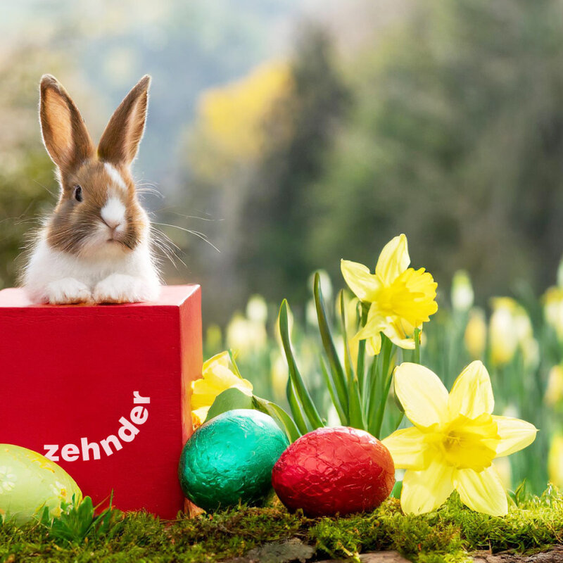 Easter 2024, Celebration, Seasonal holidays, SoMe, Post, Teams, Illustration