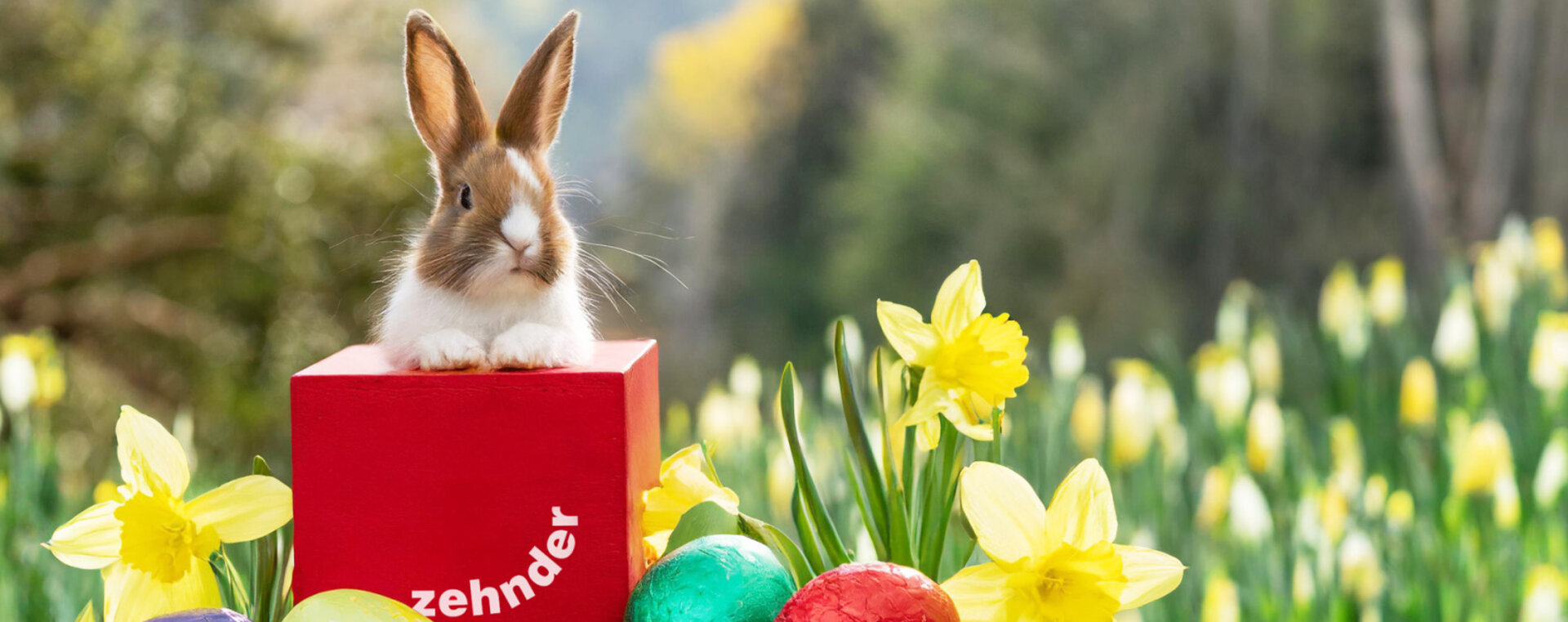 Easter 2024, Celebration, Seasonal holidays, SoMe, Post, Teams, Illustration