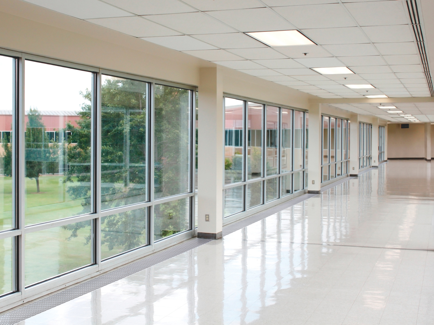 Rendering Zehnder Terraline Decorative radiator Top view