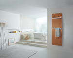 Rendering Zehnder Vitalo Bar Decorative radiator Front view