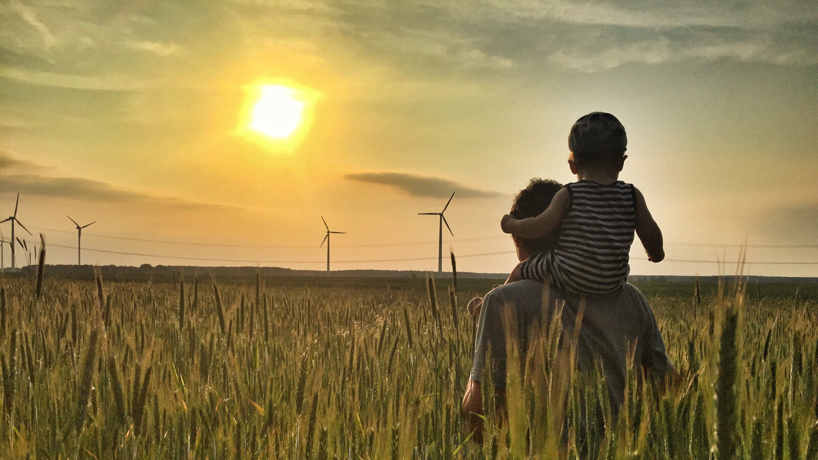 Windräder im Sonnenuntergang