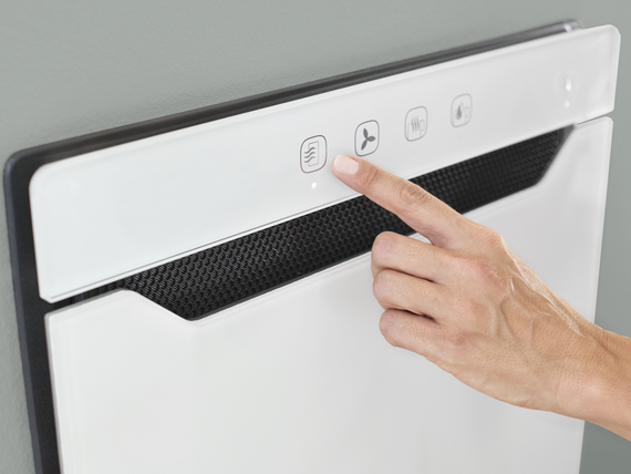 Zehnder Zenia Rendering Zehnder Zenia Decorative radiator