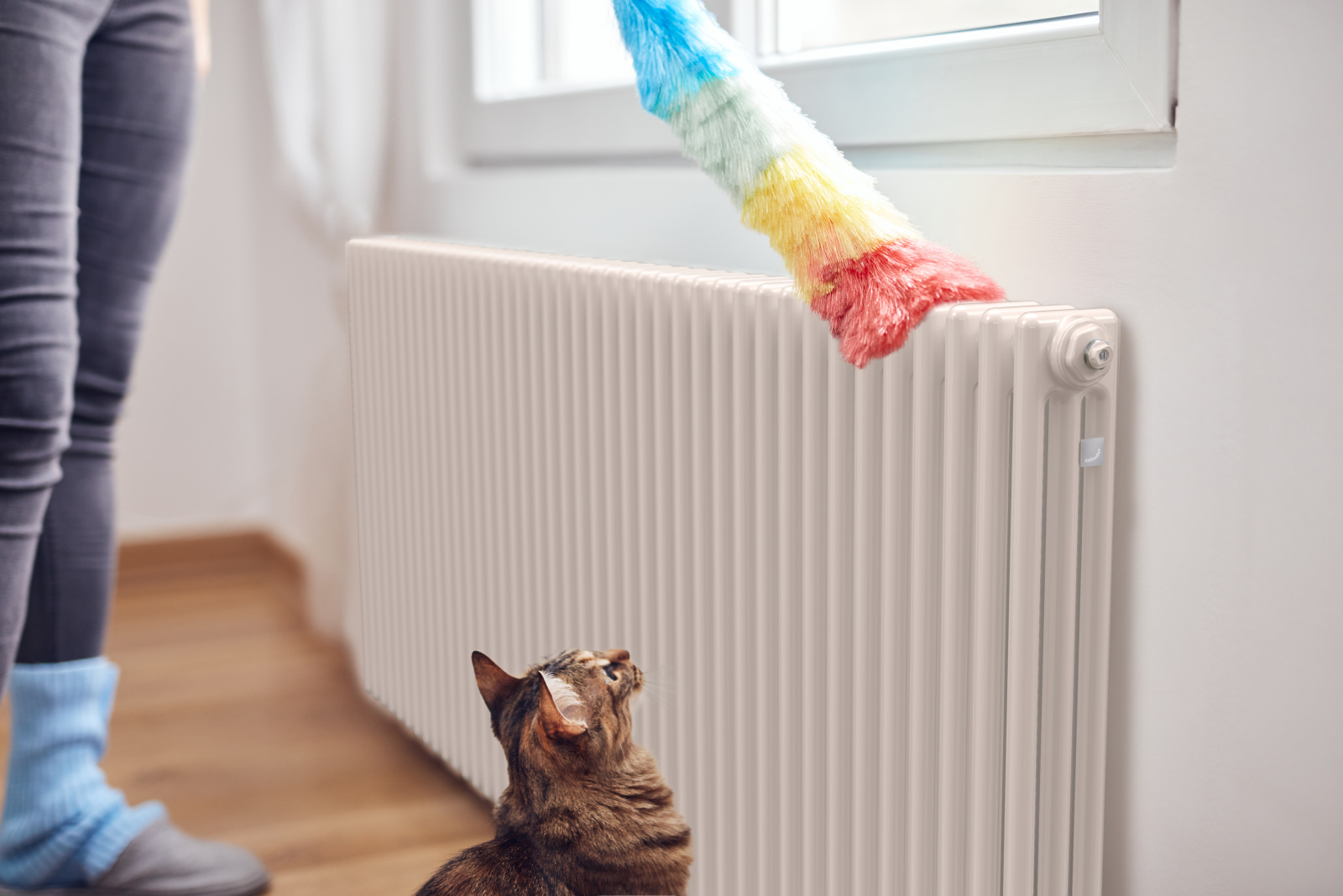 Zehnder_RAD_Charleston-HY_TrafficWhite_cleaning Key Visual Zehnder Charleston Decorative radiator Angled view