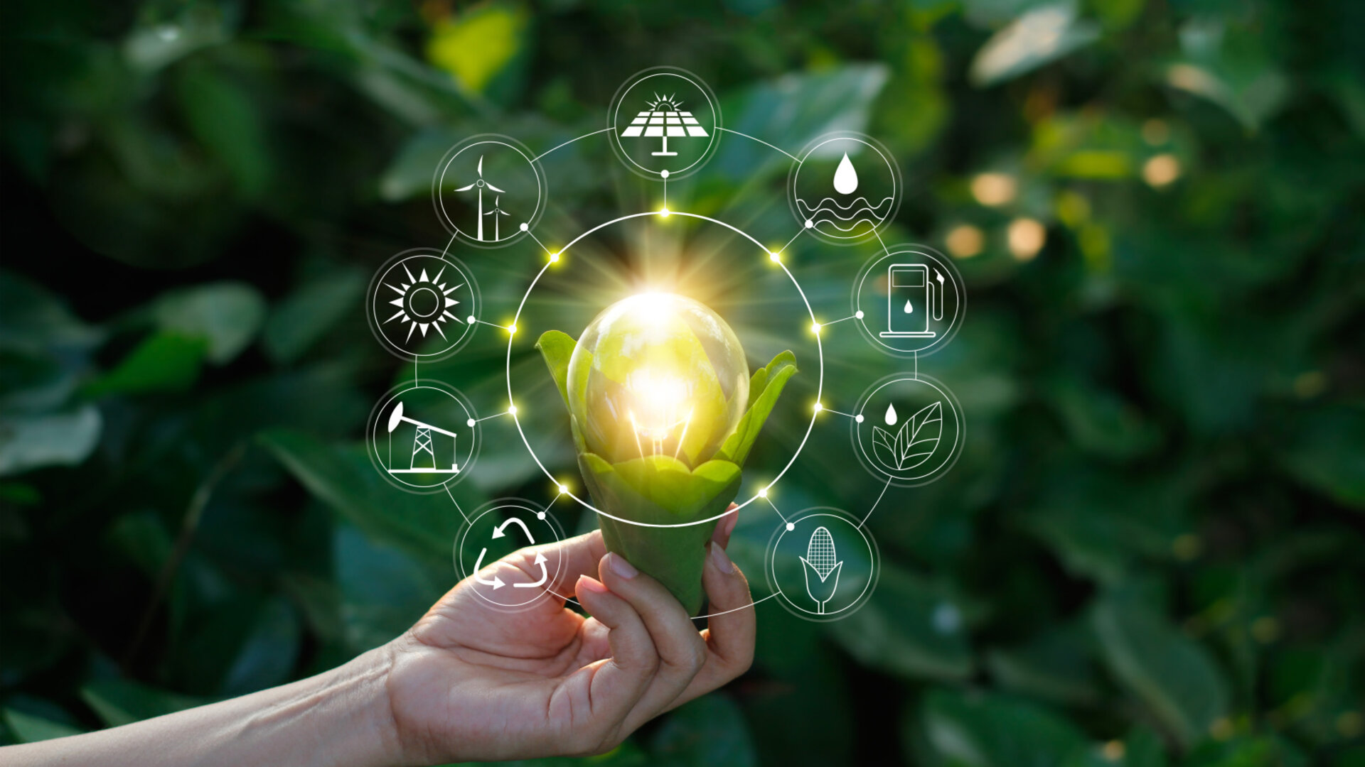 vectorgrafik zehnder energiekreislauf