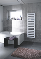 Rendering Zehnder Metropolitan Bar Decorative radiator Front view